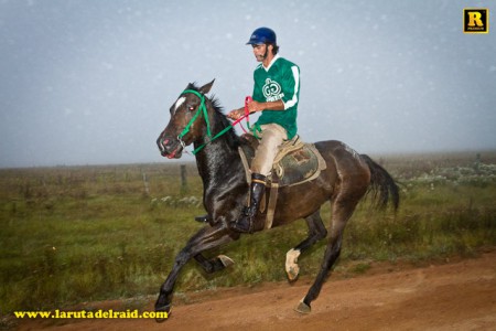 Mario Foriche, "Aparicio"